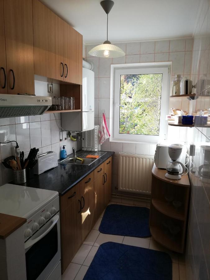Ferienwohnung Apartament Langa Castan Azuga Exterior foto